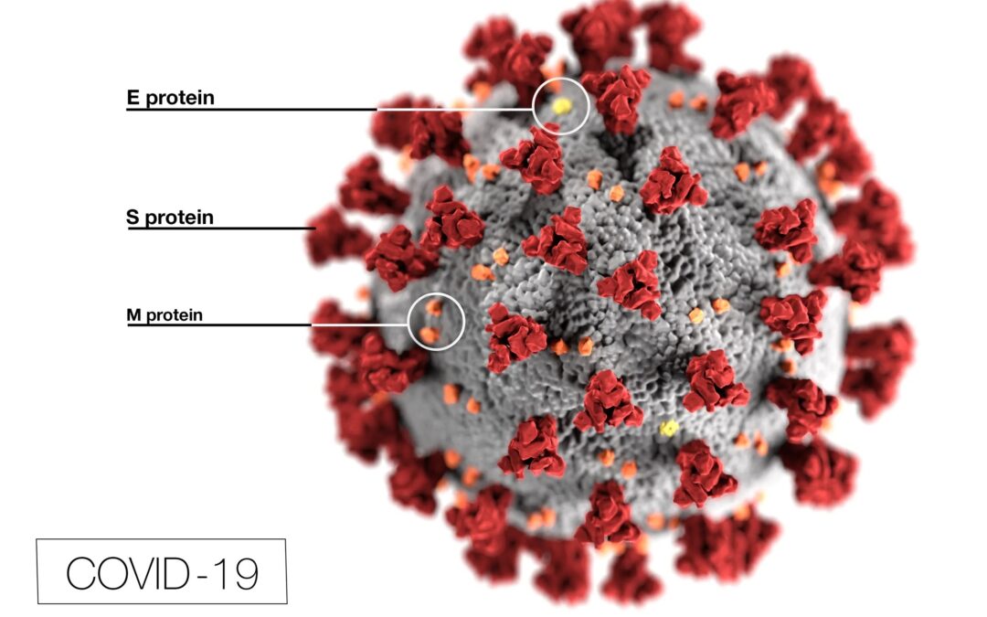 Outbreak! Combating the 2019-Novel Coronavirus (COVID-19)