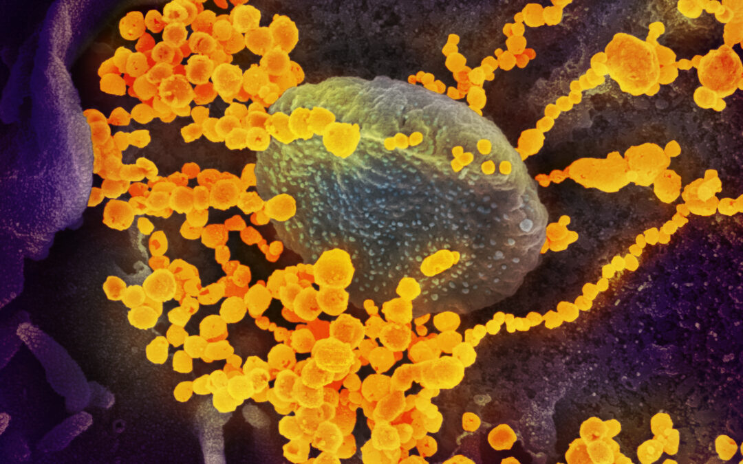 Outbreak! Combating the 2019-Novel Coronavirus (COVID-19)